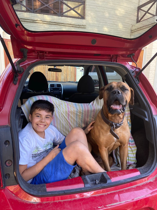 Guide 3 Español - Cómo viajar con perro grande