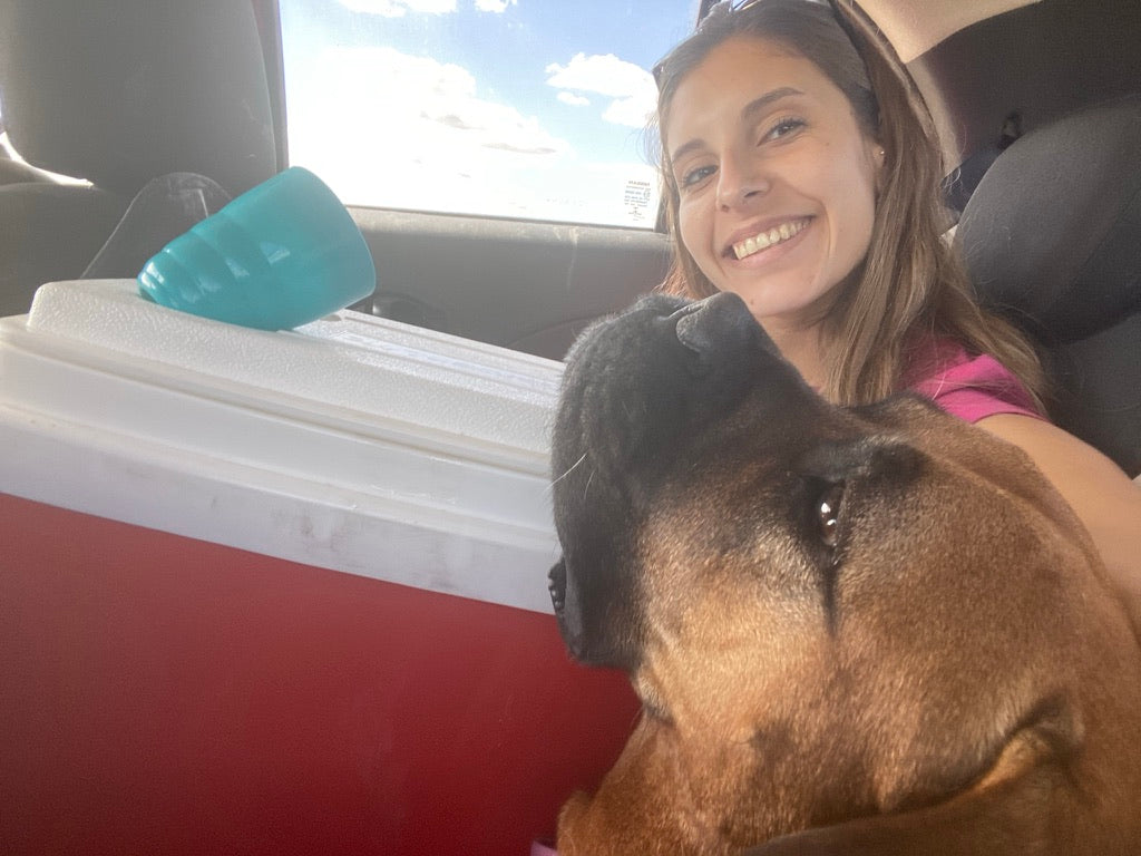 Guide 3 Español - Cómo viajar con perro grande